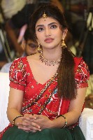 Sreeleela Half Saree Photos